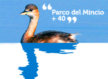 Parco del Mincio